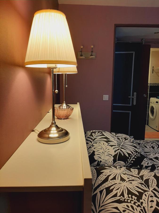 T2 Centre Ville Vue Faron 40M2 En Zone Pietonne 4Eme Etage تولون المظهر الخارجي الصورة