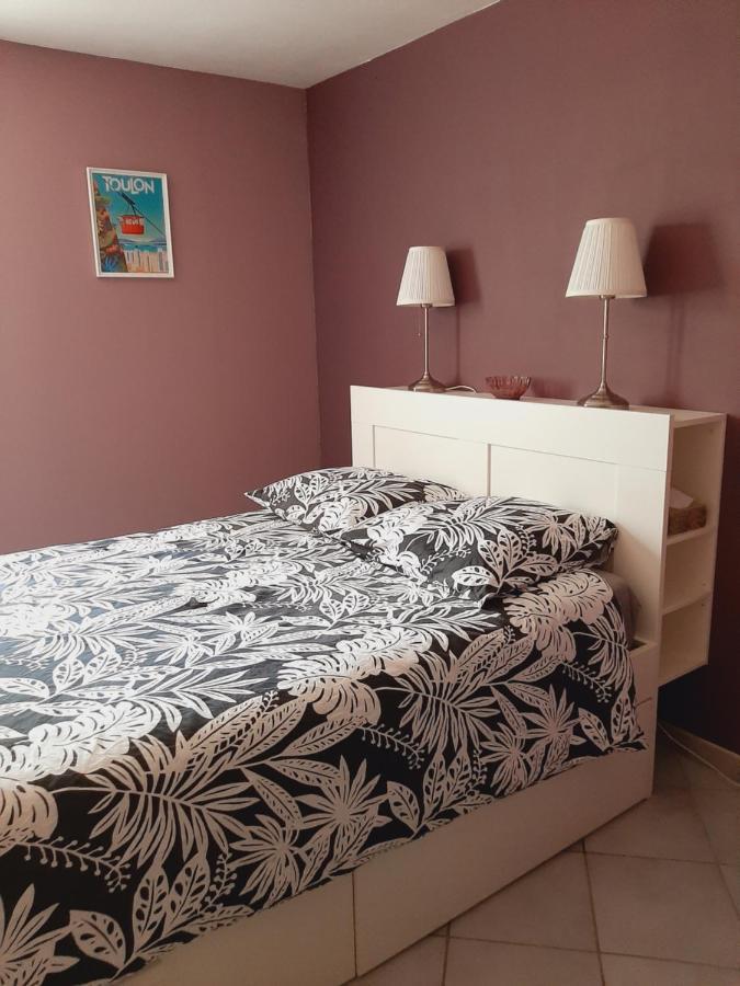 T2 Centre Ville Vue Faron 40M2 En Zone Pietonne 4Eme Etage تولون المظهر الخارجي الصورة